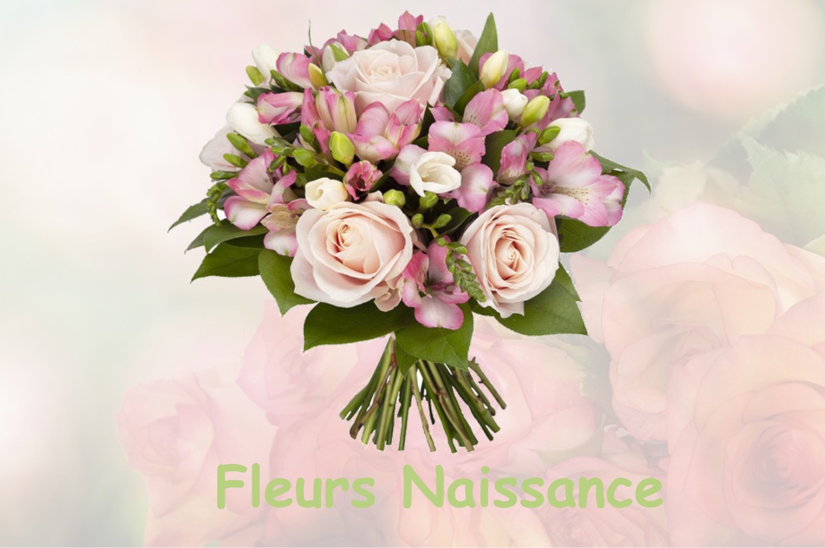 fleurs naissance AUDEVILLE