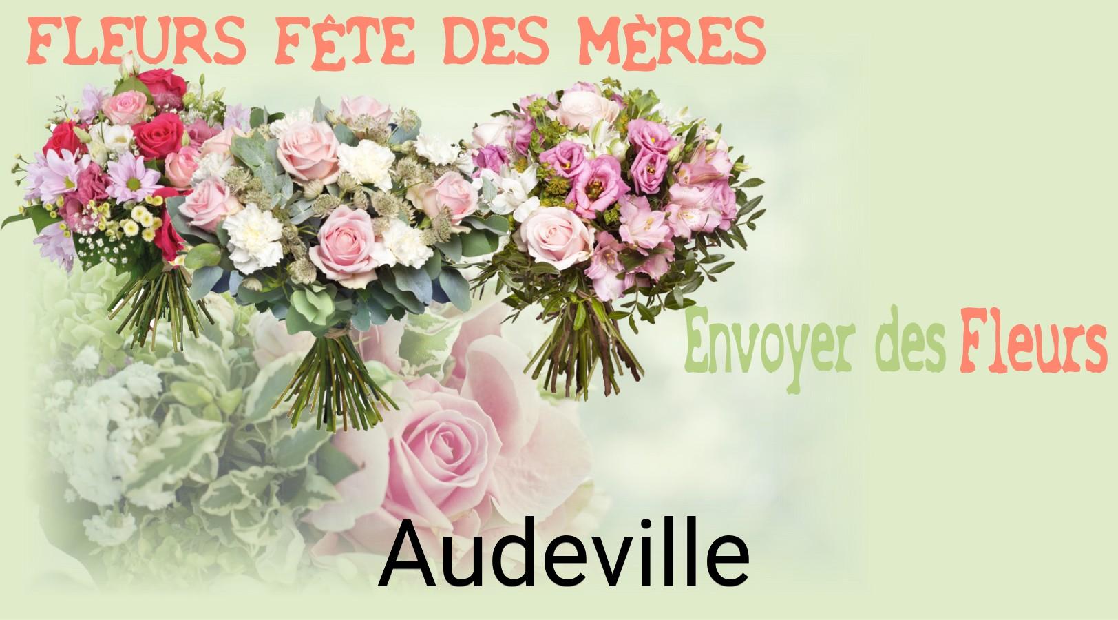 Bouquet de Fête des Mères livré à Audeville