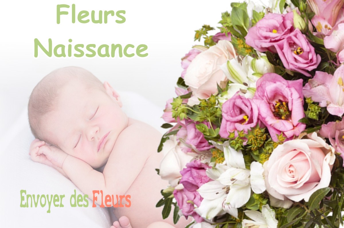 lIVRAISON FLEURS NAISSANCE à AUDEVILLE