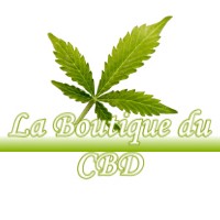 LA BOUTIQUE DU CBD AUDEVILLE 